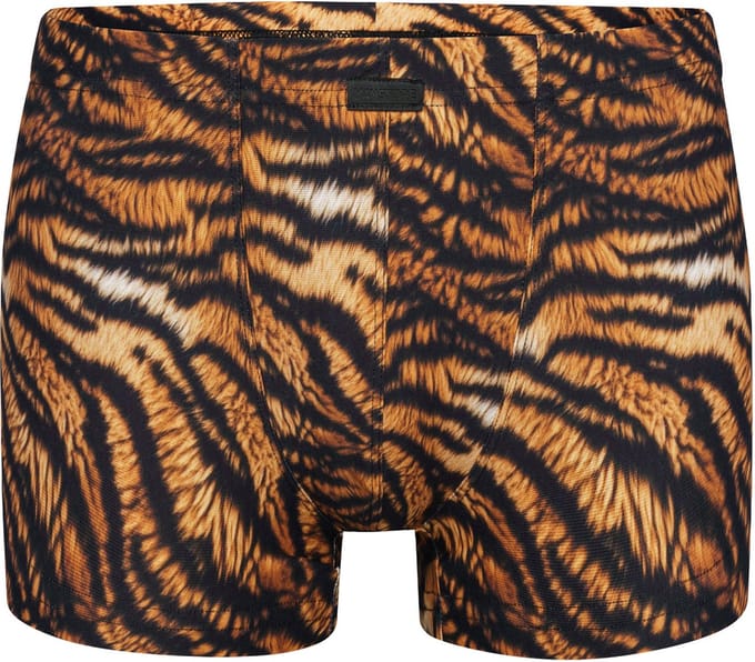 Manstore Boxer M2577 Micro Pants