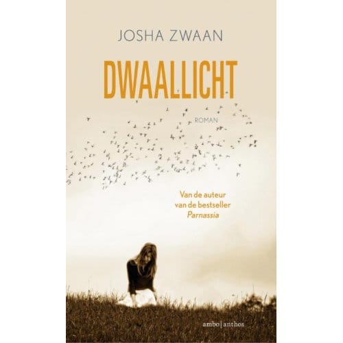Dwaallicht - Josha Zwaan