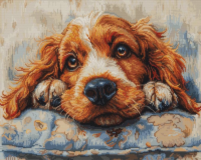 Borduurpakket Luca-S - Cocker Spaniel - BU5058