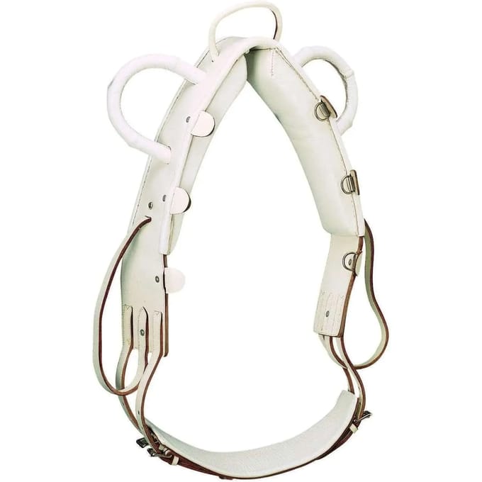 Springpaard surfaix Norton