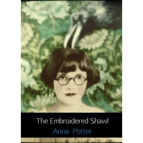 The Embroidered Shawl - Anna Potter