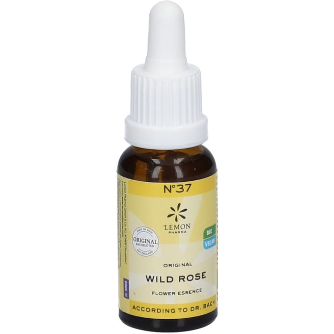 Bach Bloesem Bio N°37 Wild Rose 20 Druppels