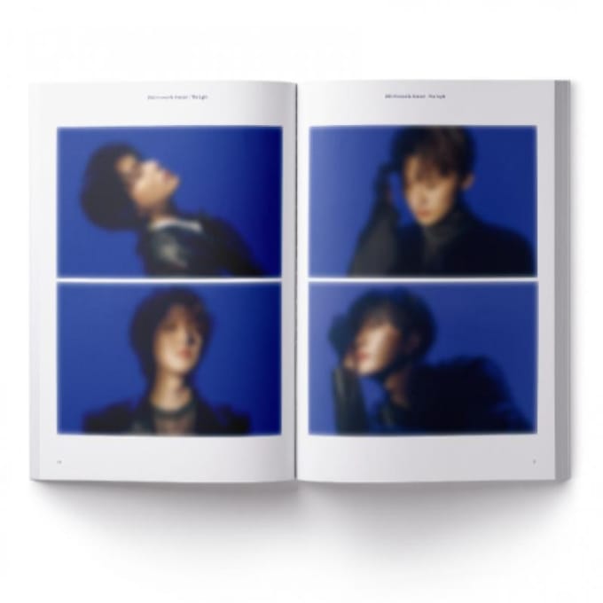 Forestella   Mini Fotoboek   2023 The Light gray