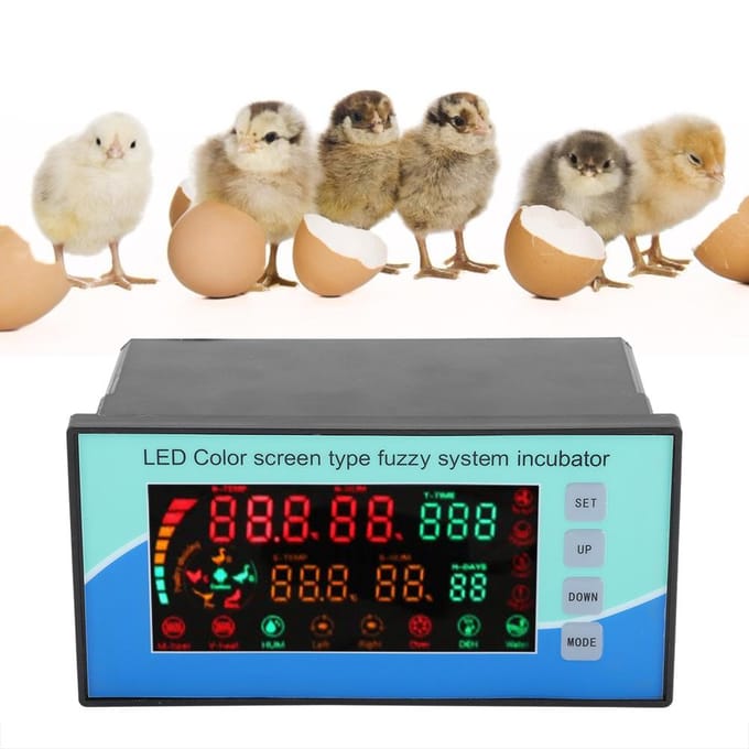 Thermostaatregelaar voor broedmachine, eierhygrostaat, microcomputer, automatische temperatuurregeling, sensor blue