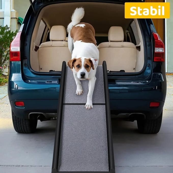 Hondenhelling - Honden Helling - Auto - Opvouwbaar - Loopplank - 156 cm - Honden - Grijs/Zwart