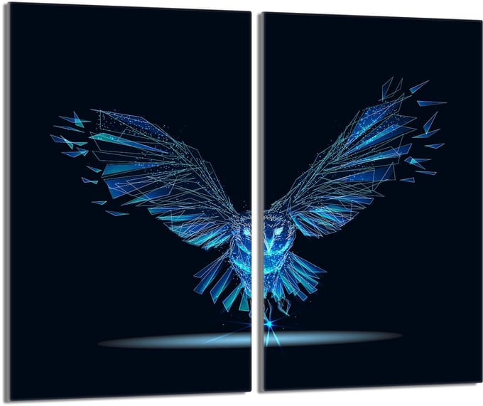 TMK ArtDeko - Beschermplaat - Glas - 2x30x52 cm - Ptak