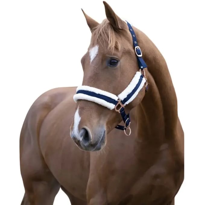Norton Equestrian Confort Halster Blauw Cob