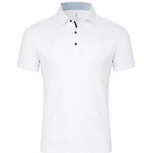 Desoto Polo Fine Details Kent Collar Wit / male