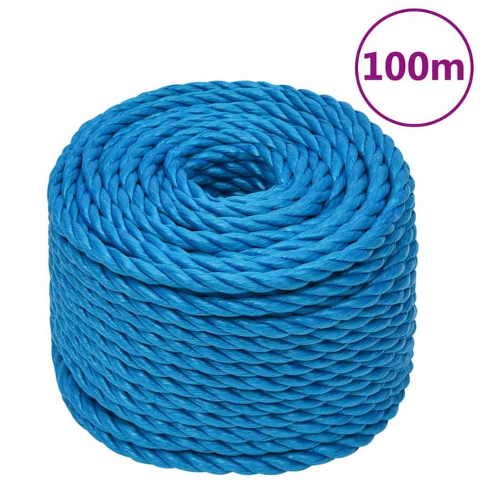 vidaXL - Werktouw - 20 - mm - 100 - m - polypropeen - blauw