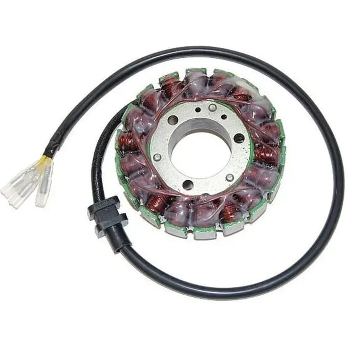 Originele aanpasbare motor dynamo Electrosport Kawasaki