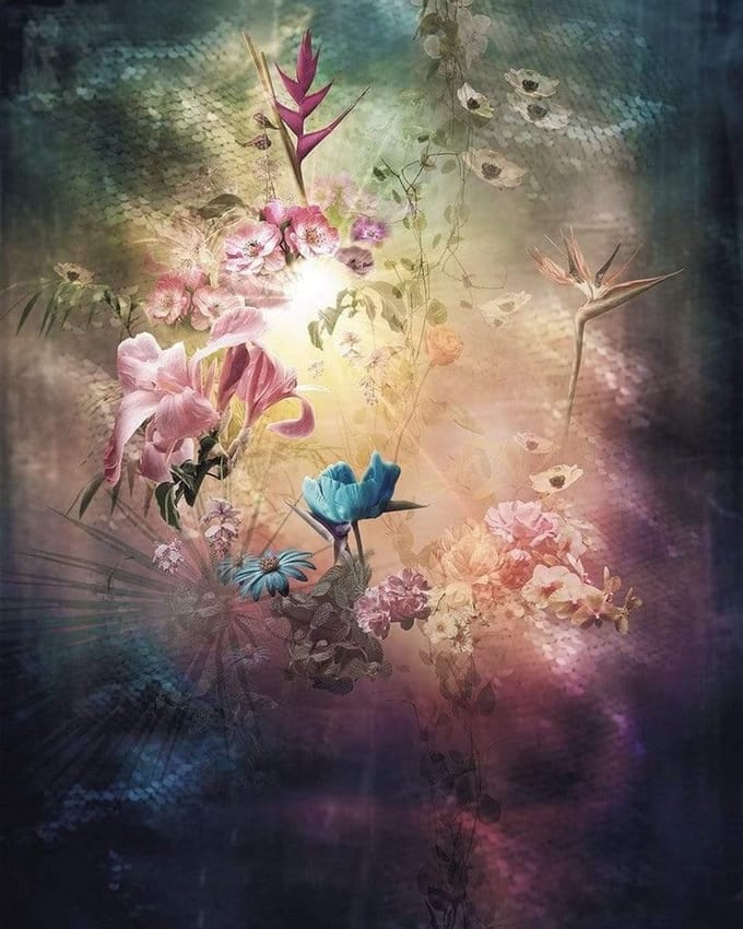 Fotobehang - Enlightenment 200x250cm - Vliesbehang