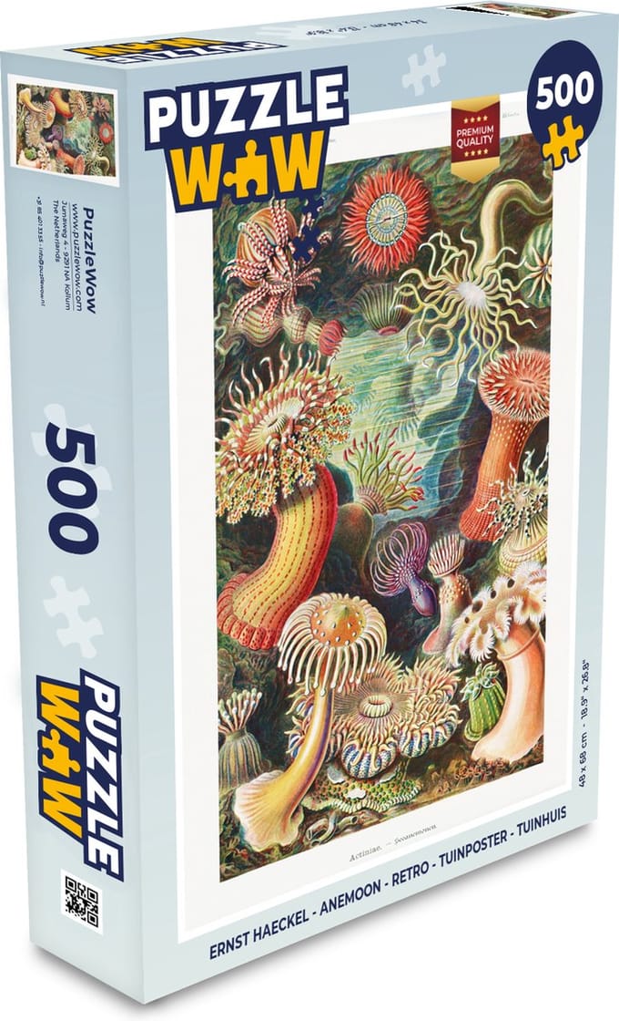 Puzzel Ernst Haeckel - Anemoon - Retro - Natuur - Planten - Zee - Legpuzzel - Puzzel 500 stukjes