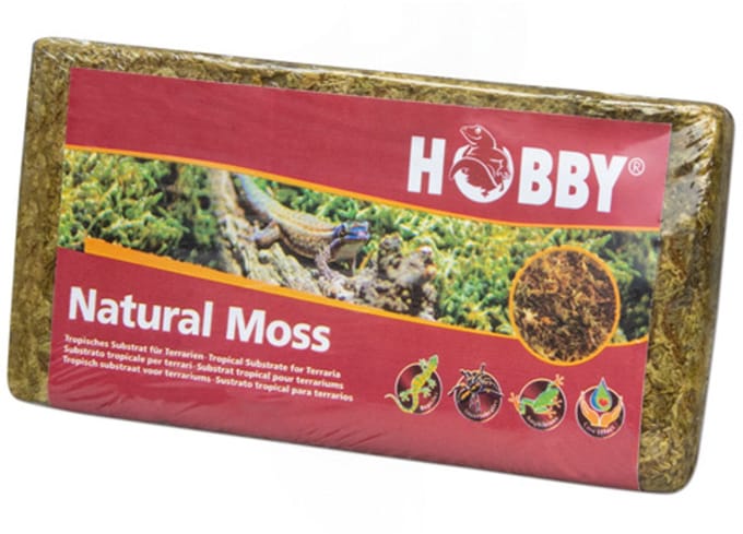 Hobby Terrarium veenmos natural moss 100 gram | compacte brick voor 4,5 liter mos