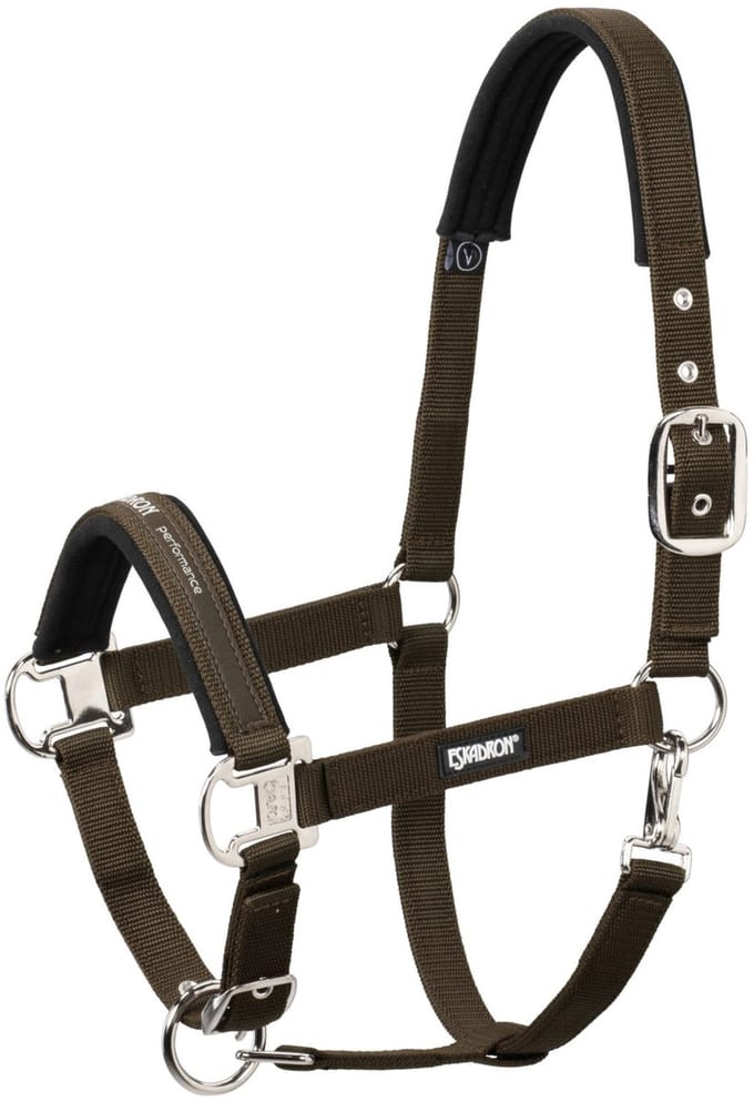Eskadron Halster Eskadron Pin Buckle Zwart