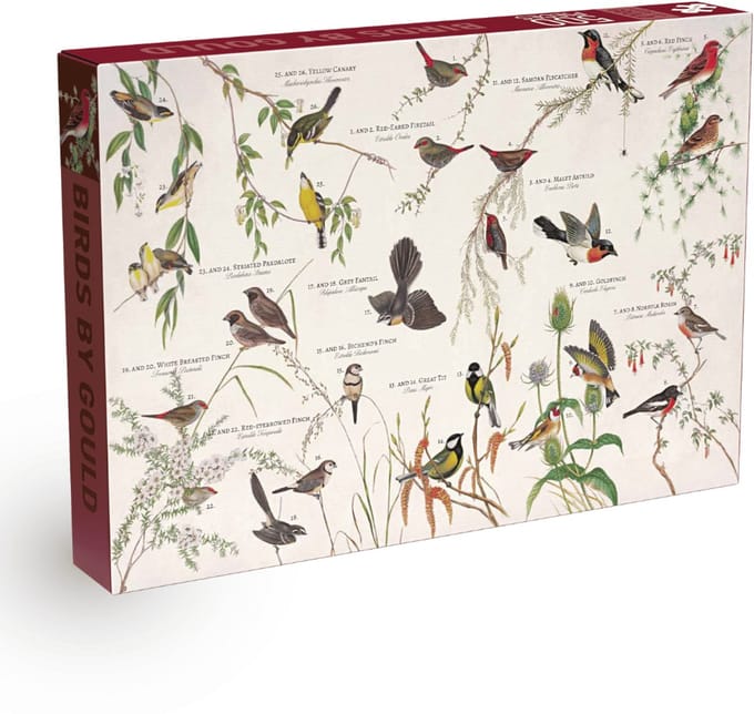 Penny Puzzle (500st) Birds by Gould