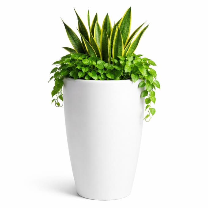 Mega Collections Plantenpot / bloempot Essence Egg pot - kunststof - wit - binnen/buiten - D45 x H66 cm