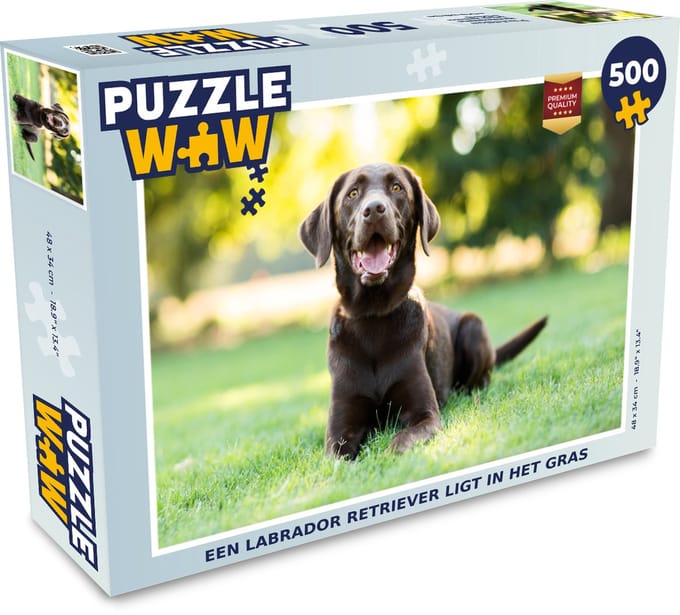 Puzzel Een Labrador Retriever ligt in het gras - Legpuzzel - Puzzel 500 stukjes