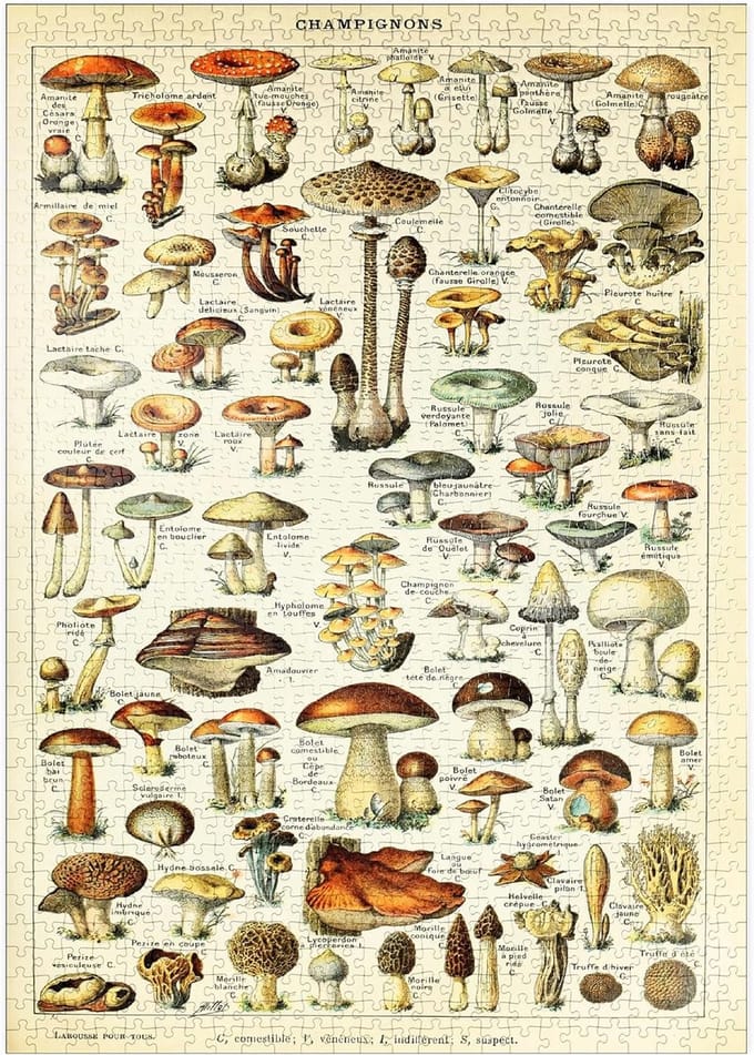 Puzzel van Champignons - 1000 Stukjes Vintage Kunst Poster