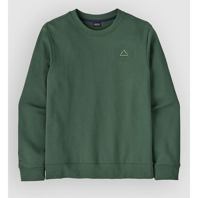 Patagonia Fitz Roy Massif Daily Crew Sweater groen