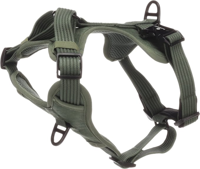 Flamingo Hond Harnas Cami Groen M 38-61cm 45-70cm 25mm