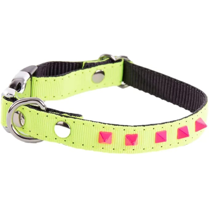 Hondenhalsband Martin Sellier Fluo