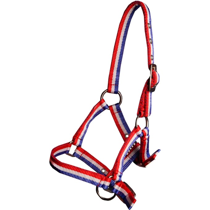 HALSTER BASIC VEULEN | Mini Shetlander