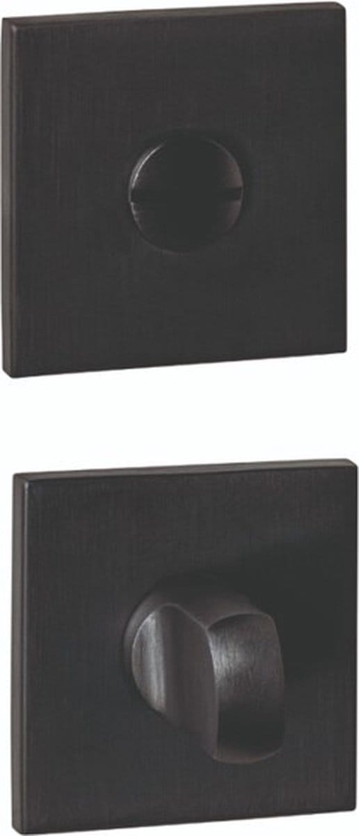 Intersteel WC-sluiting verdekt 53x53x6mm met stift 6-8mm PVD zwart