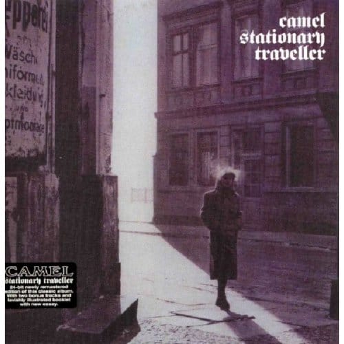 Stationary Traveller - Camel