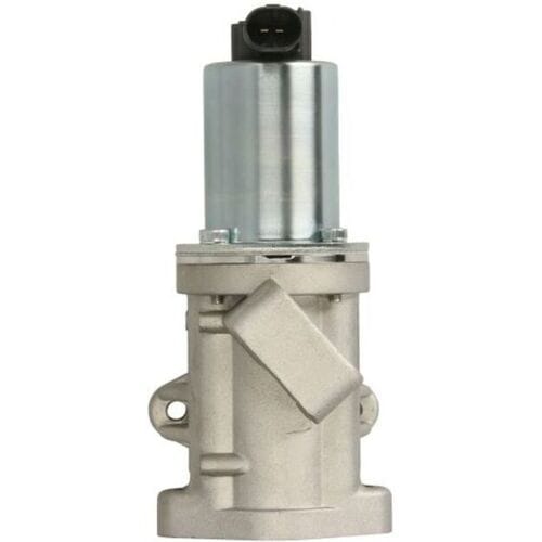 EGR-klep BORG WARNER WA729019D
