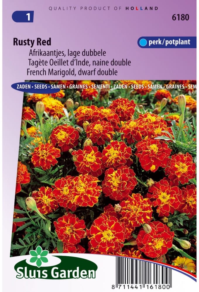 Sluis Garden - Afrikaan Rusty Red