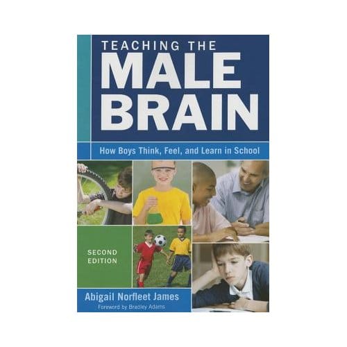Teaching The Male Brain: How Boys Think, Feel, And Learn In School - James