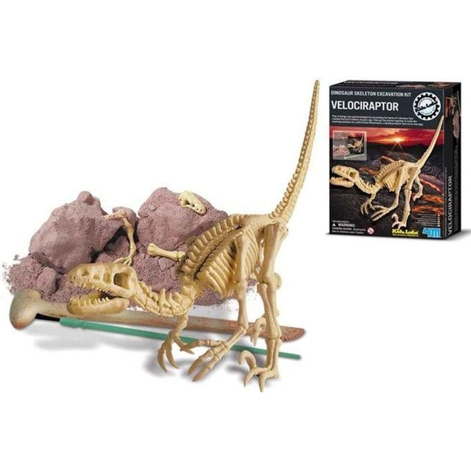 4M Graaf Je Dino Op - Velociraptor - Opgraafkit En Modelbouw Skelet - KidzLabs - 8 Jaar