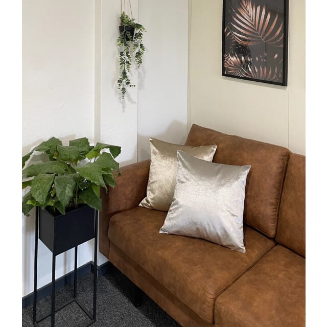 Gek op kussens! Velvet | 45 x 45 cm | kussenhoes | polyester