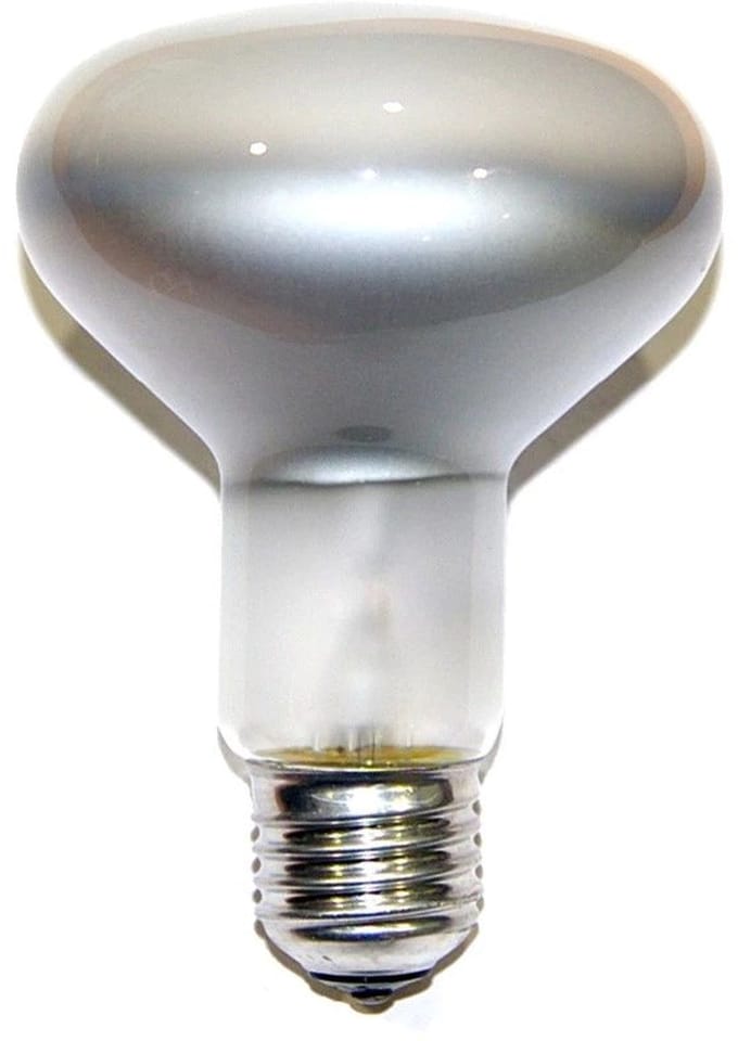 Philips Spotline Reflector R95 100W E27 230V Mat