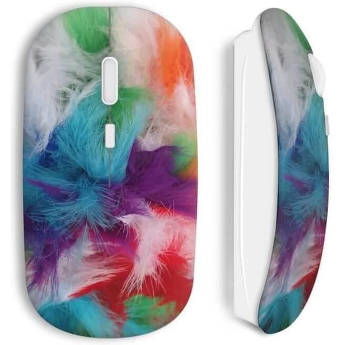 Souris sans fil Plumes color