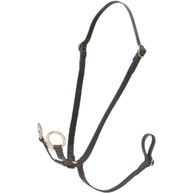 Martingale met ringen voor Hobby Horse LeMieux