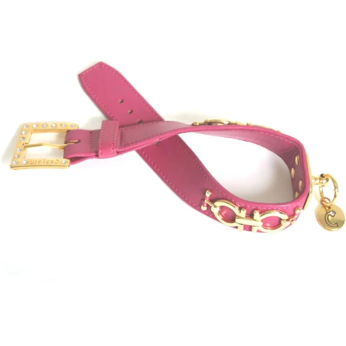 Hondenhalsband Martin Sellier Deco