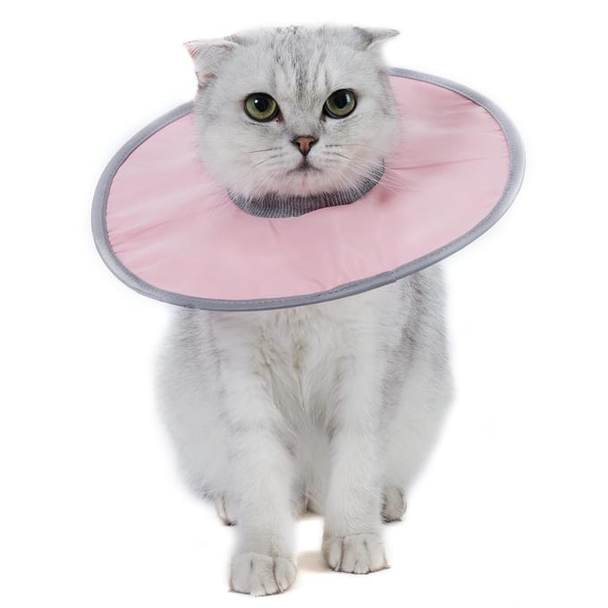 Kattenkegelhalsband Stop Likken Verstelbare Geribbelde Hals Herstelhalsband Large roze