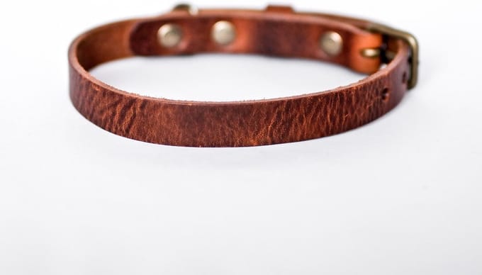 Cooper & Quint No Fuss - Halsband Hond - Leren Halsband Hond - Bruin - Oud messing - Extra Small