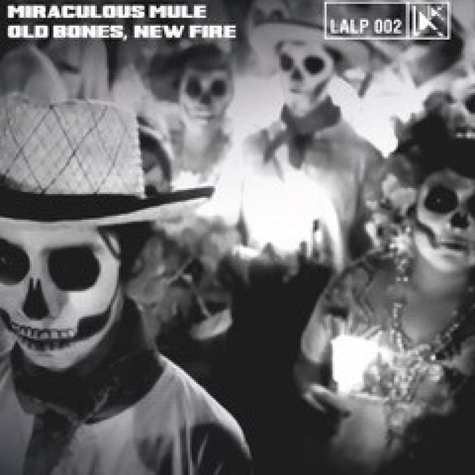 Miraculous Mule - Old Bones, New Fire (CD)