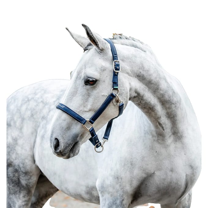 Halsband voor verzorgingspaard Horseware