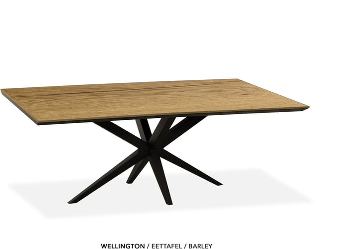Maxfurn - Zeer krasvaste eettafel met verjongde rand 190x90cm | Kleur: Barley