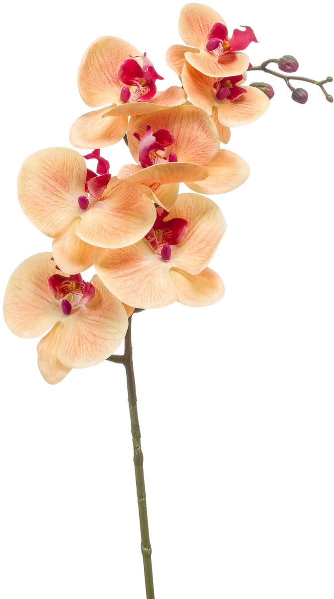 Emerald - Kunstbloem Phalaenopsis RT peach/beauty 83cm - Kunstplant voor binnen