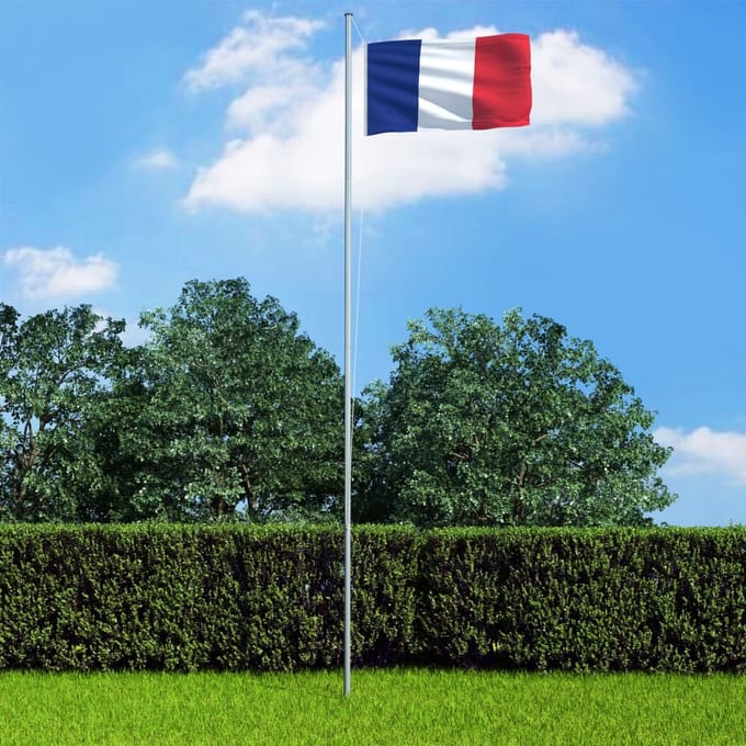 vidaXL - Vlag - Frankrijk - 90x150 - cm