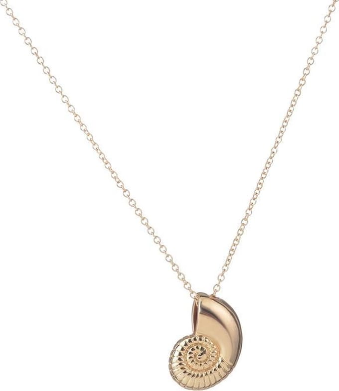 24/7 Jewelry Collection Zeeschelp Ketting - Schelp - Goudkleurig