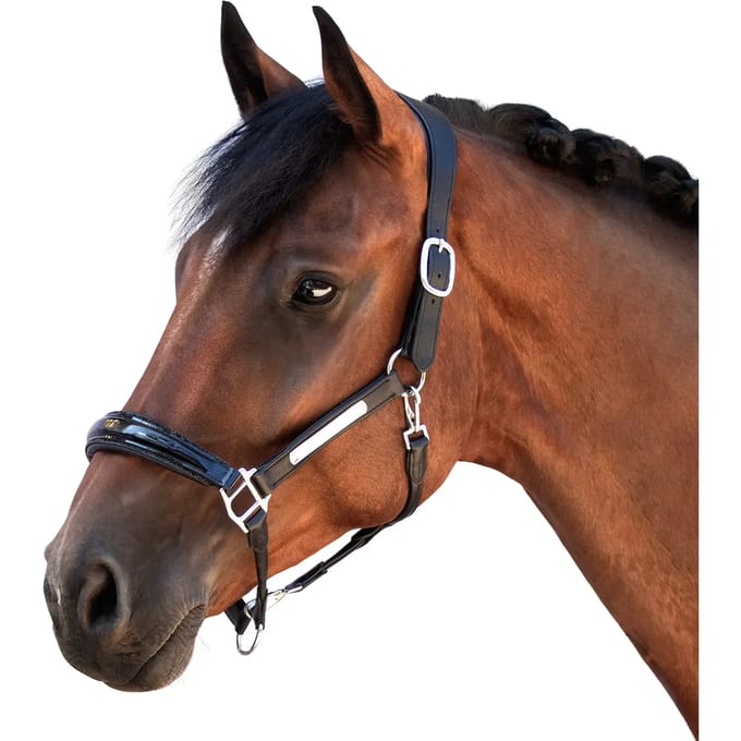 Leren halster voor paard Bridlery Eternity