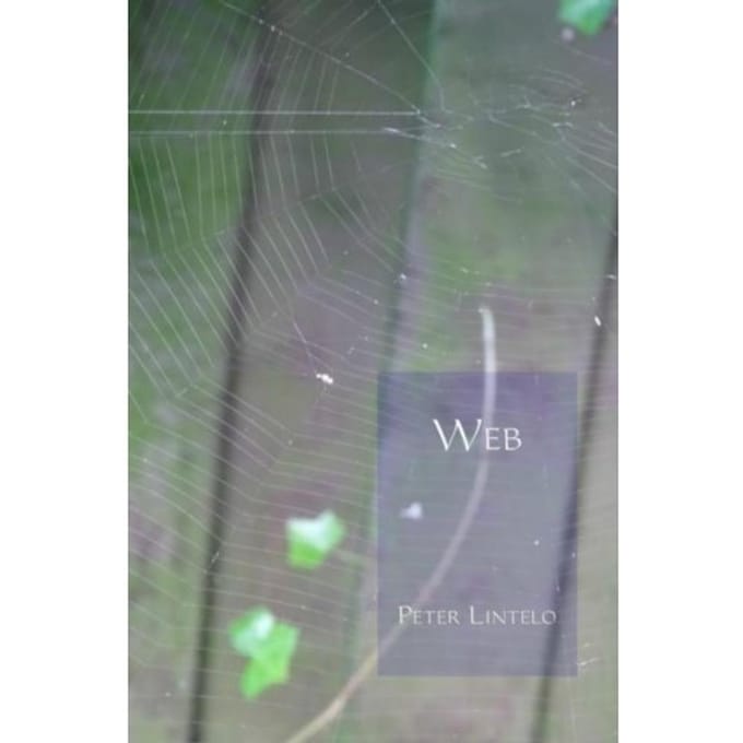 Web - Peter Lintelo