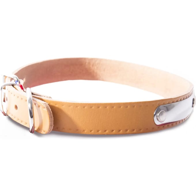 Leren hondenhalsband met schort Martin Sellier Rive