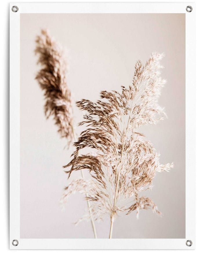 Tuinposter Pampasgras - 80 x 60 - Canvas - REINDERS
