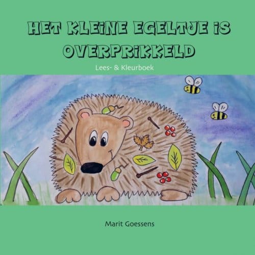 Het Kleine Egeltje Is Overprikkeld - Marit Goessens